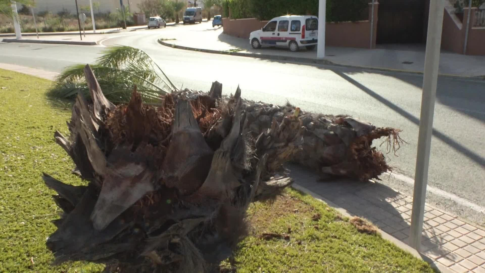 J036-ALICANTE CONSECUENCIAS TEMPORAL