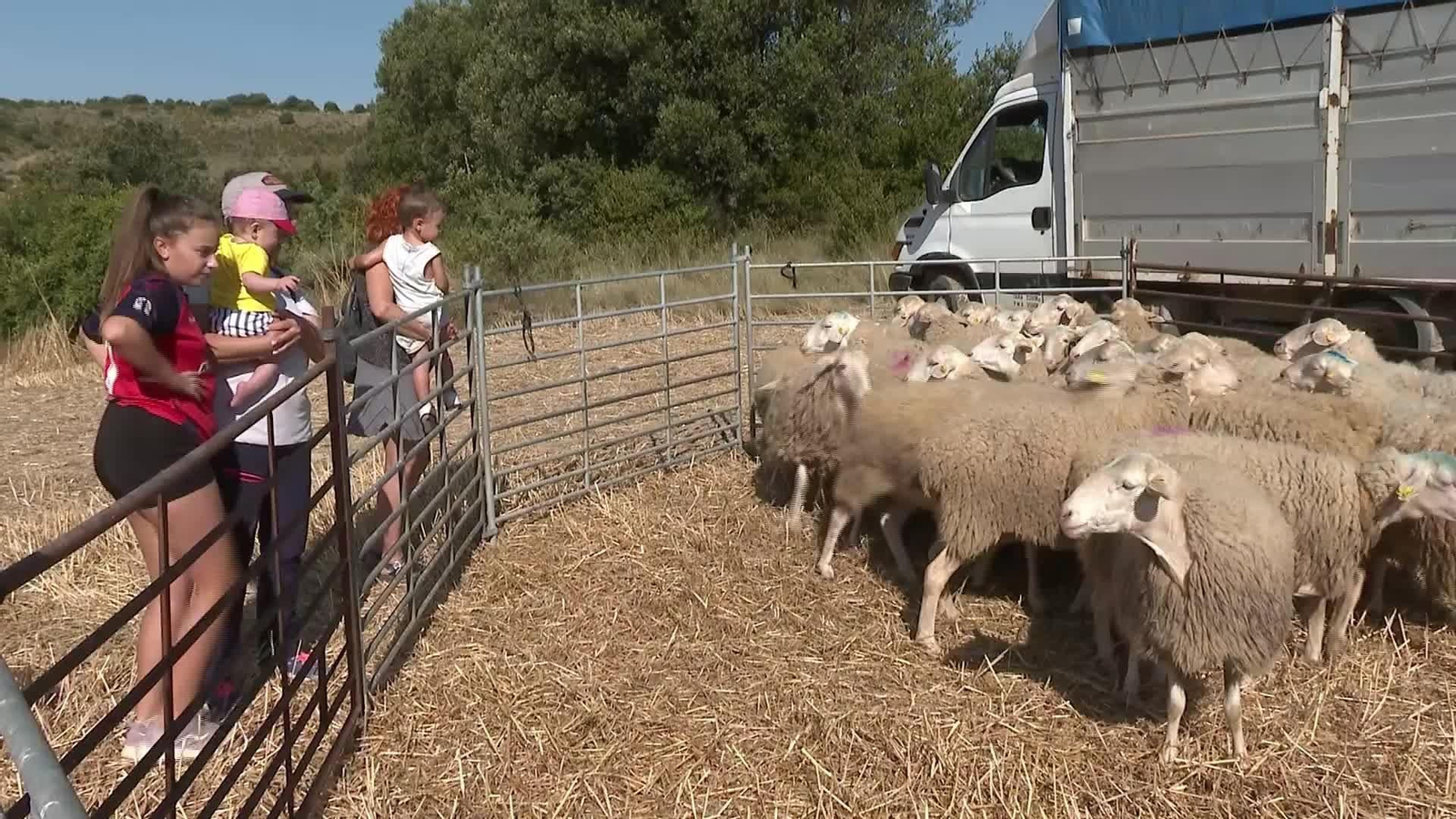 D030-NAVARRA DIA DEL ESQUILADOR ALTO DE ISO