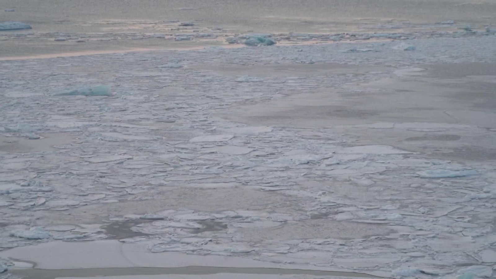 web artico rutas y trump