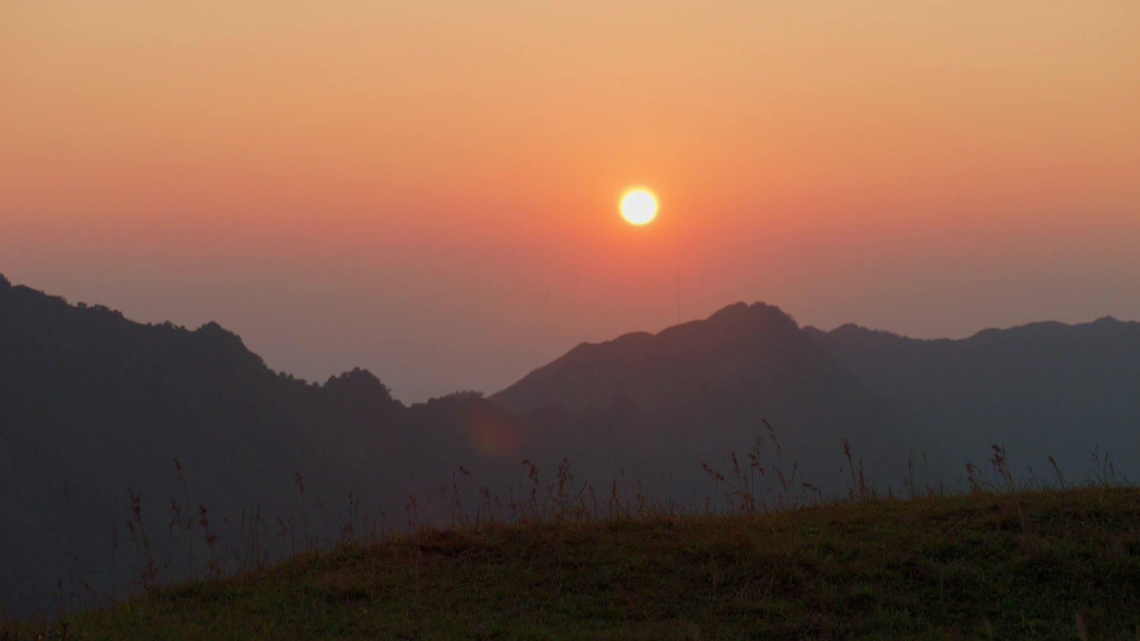 web la quimica del amor
