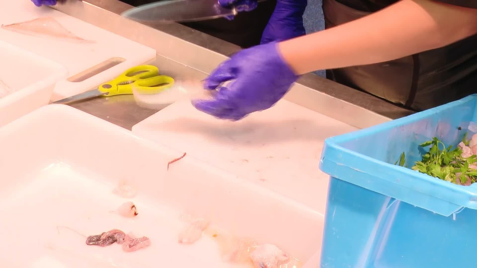 V024-VARIOS CURSOS PESCADERO