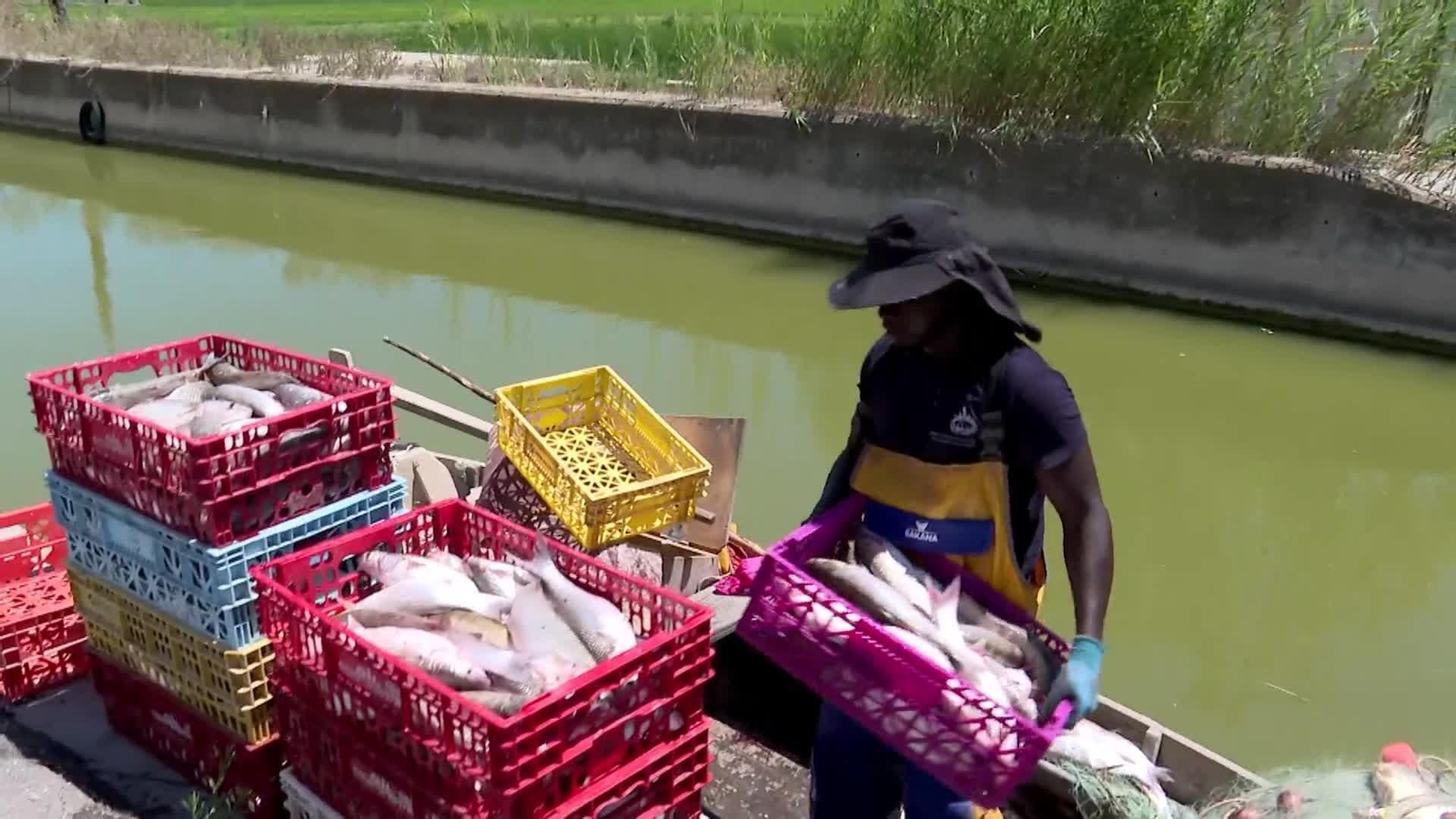 MUSTAFÁ, EL PRIMER PESCADOR MIGRANTE DE LA ALBUFERA