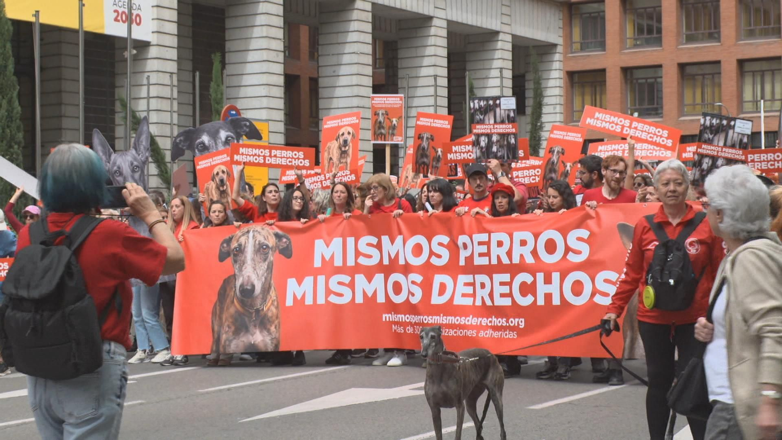 protesta animalista