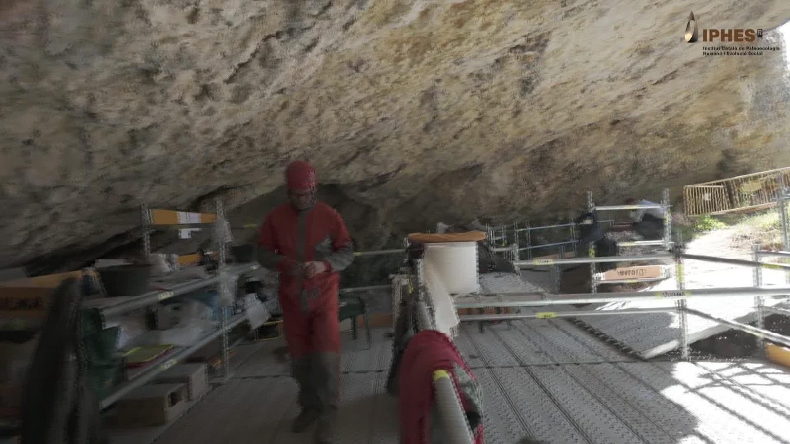 V021-VARIOS CANIBALISMO ATAPUERCA