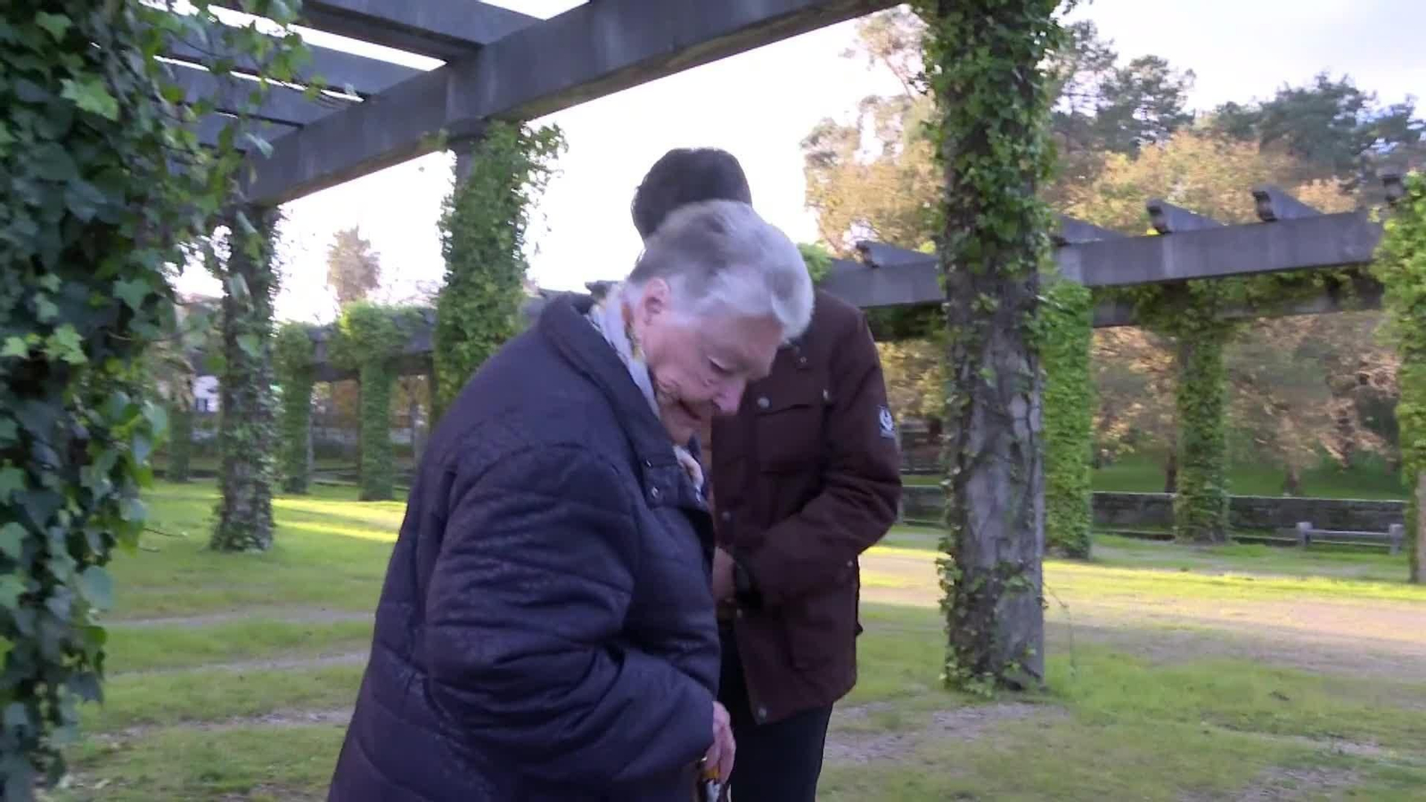 web la soledad no deseada