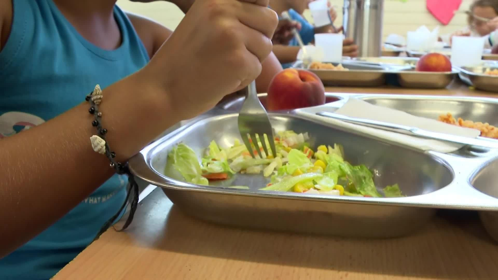 J052-EDI VARIOS LEY DE COMEDORES