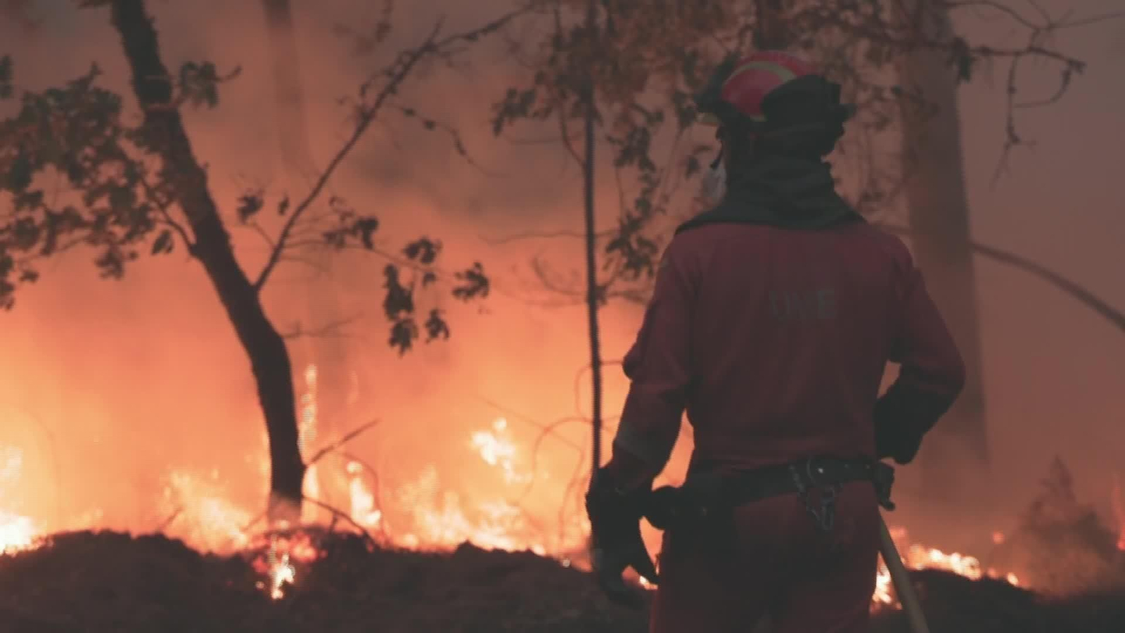 X052-EDI VARIOS AYUDAS PUBLICAS INCENDIOS