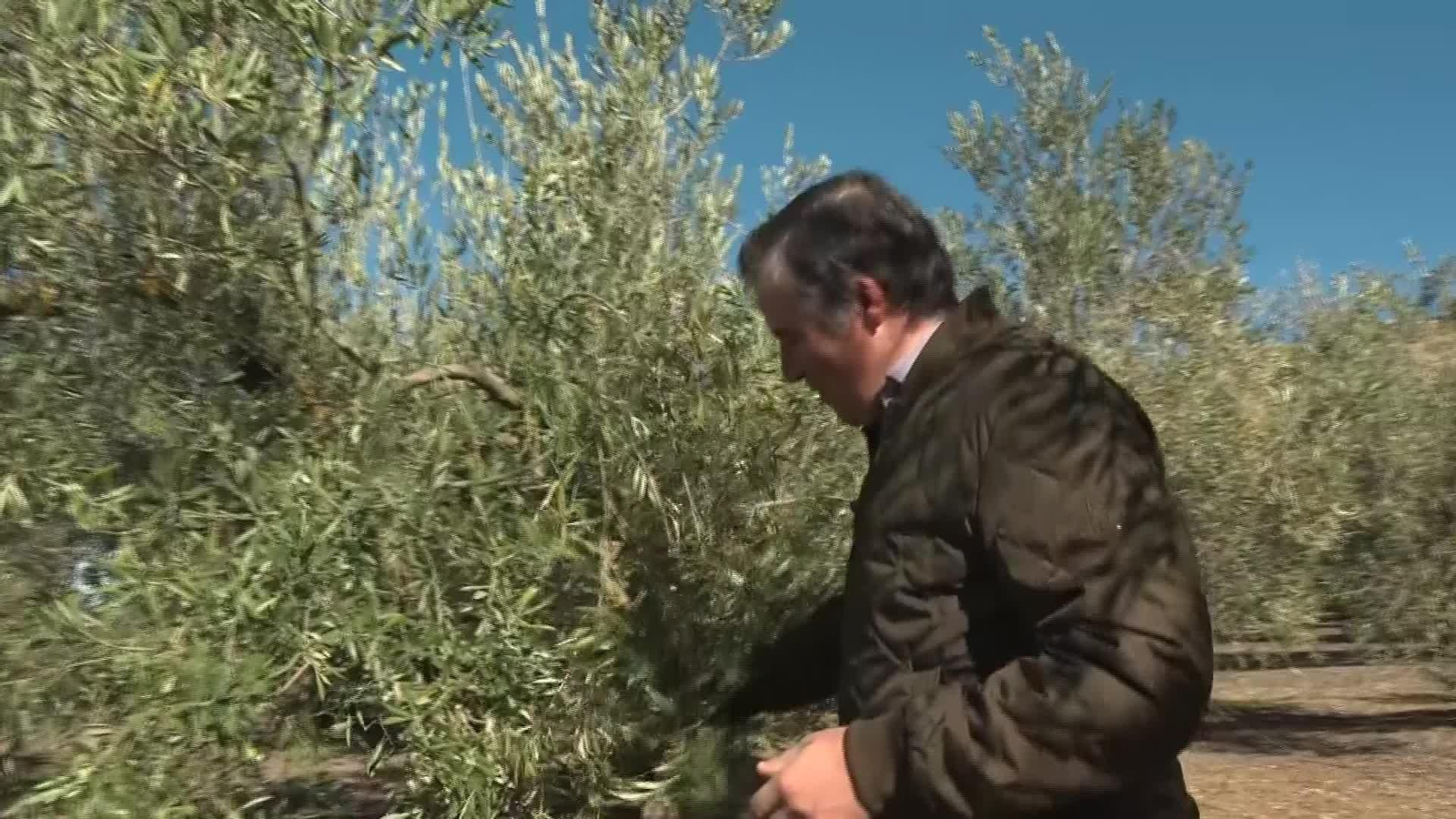 X002-EDI VARIOS IMPACTO MERCOSUR