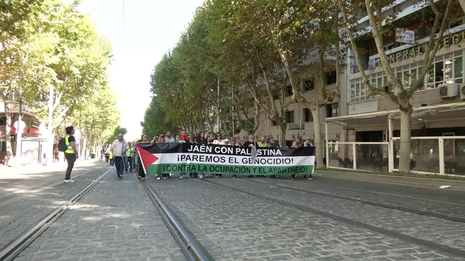 D027-VARIOS MANIFESTACIONES PROPALESTINAS