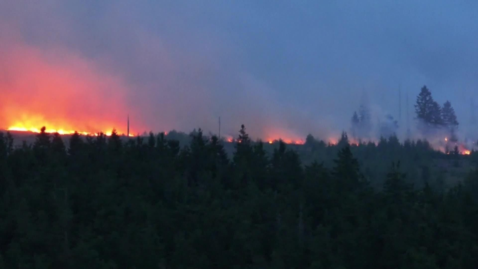 D005-BELGICA INCENDIO FORESTAL