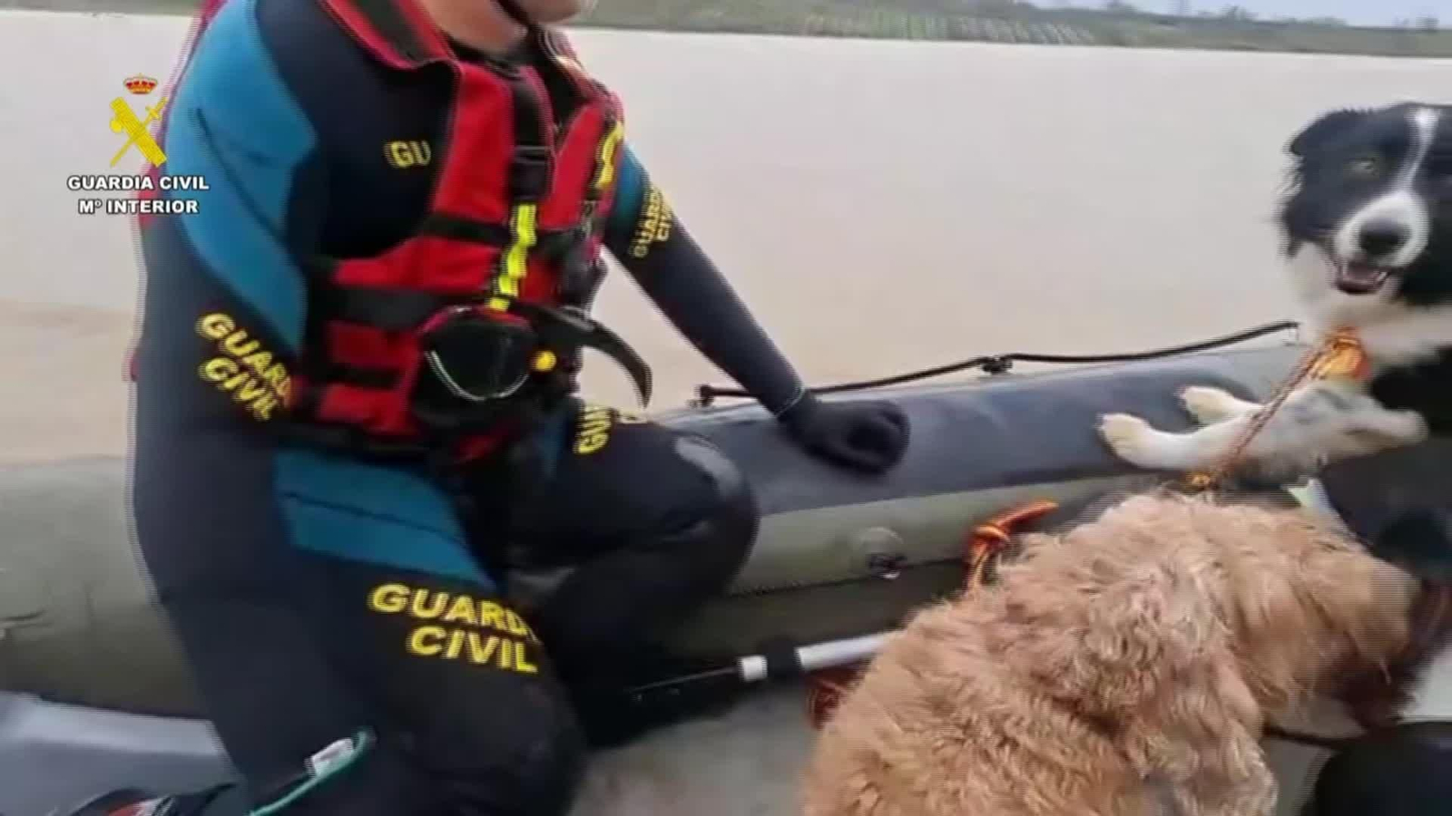 J022-IMAGENES GUARDIA CIVIL RESCATE MASCOTAS JEREZ