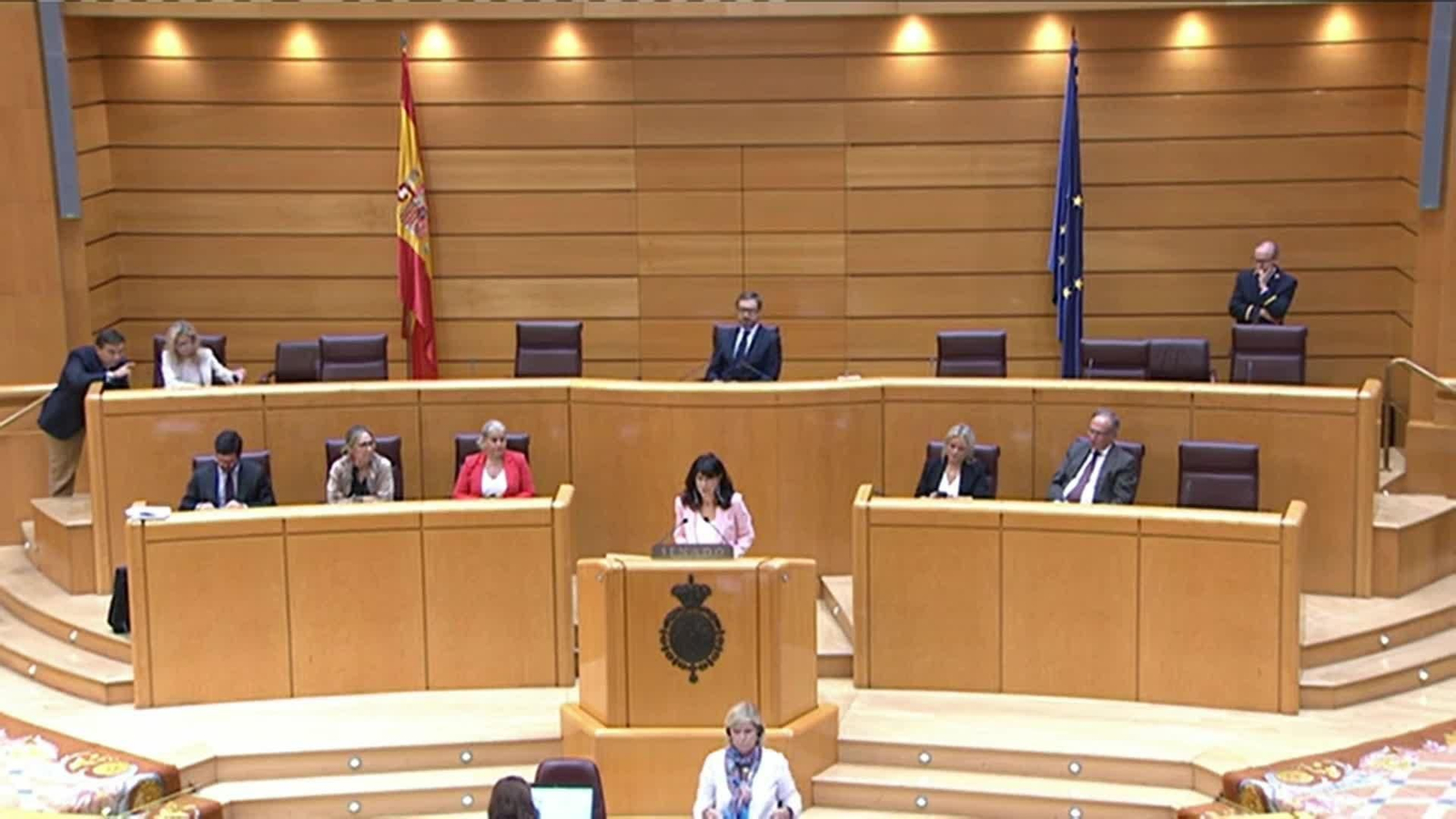 X045-MADRID ANA REDONDO PLENO SENADO 3