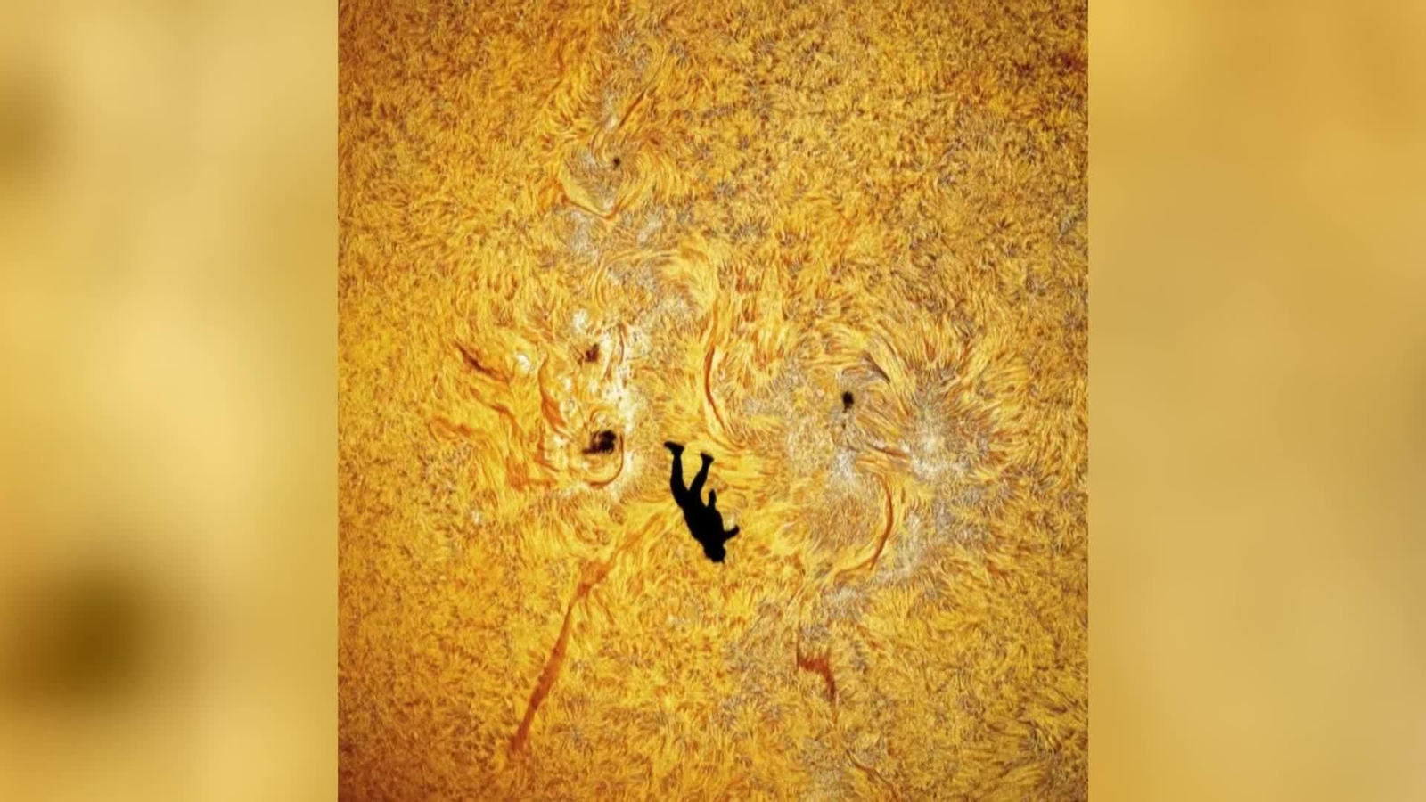 web las mejores imagenes de ciencia