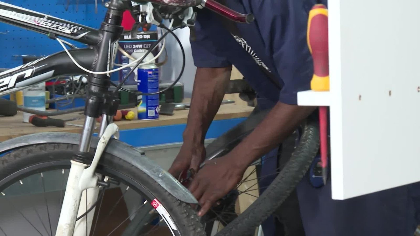 web migrantes y bicis