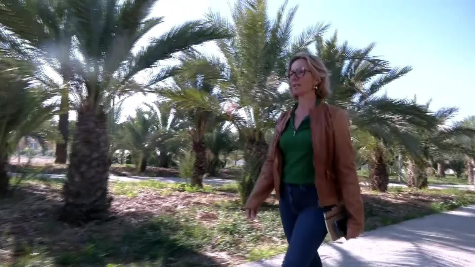 M038-ALICANTE RECOGIDA ACEITUNAS UNIVERSIDAD ELCHE