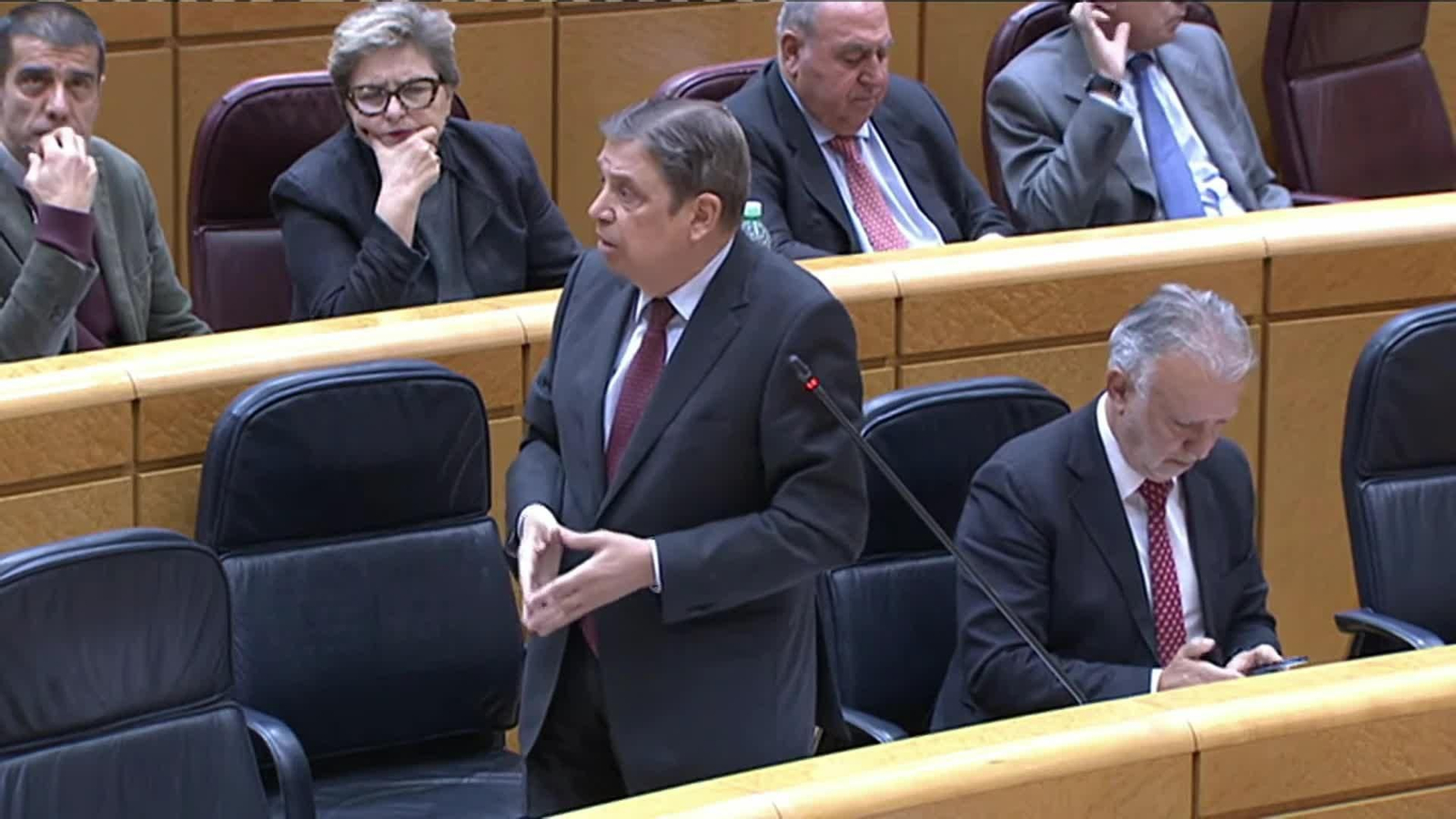 va planas mercosur bueno senado