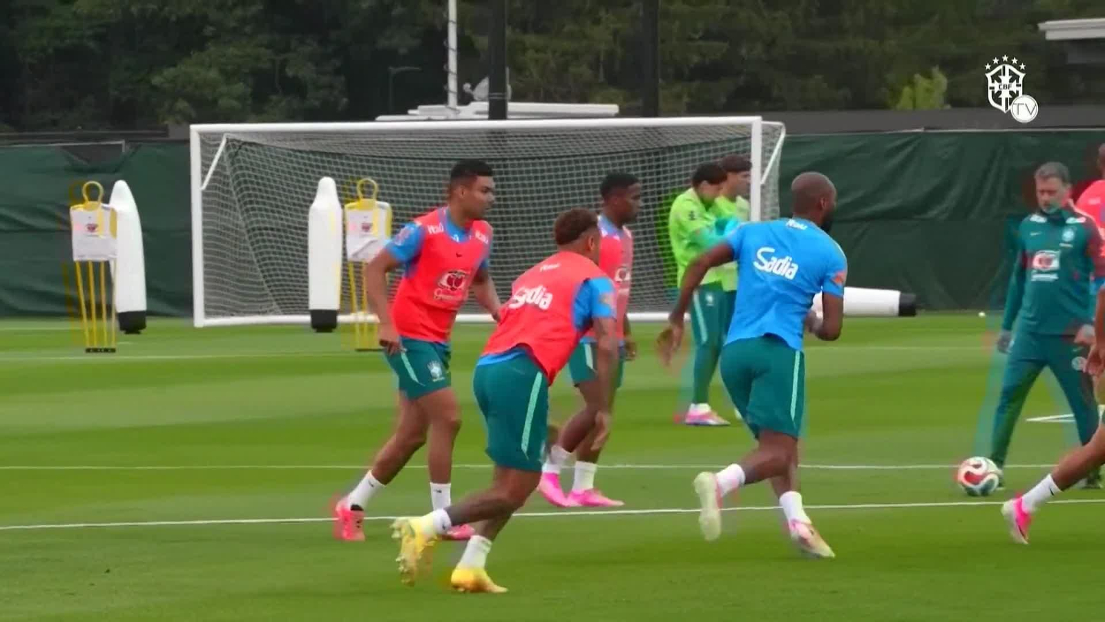 va entreno brasil