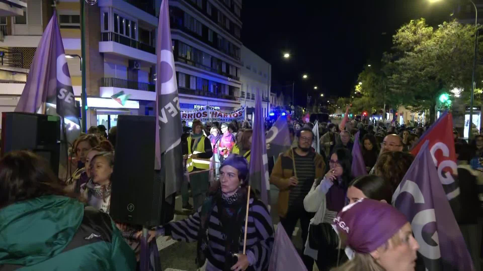 M066-SEVILLA MANIFESTACIÓN 25N