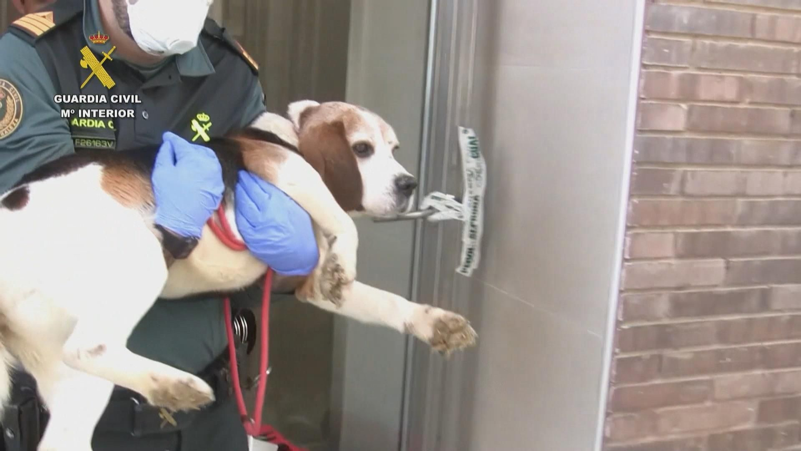 J053 MADRID OP GUARDIA CIVIL MALTRATO ANIMAL frame 695