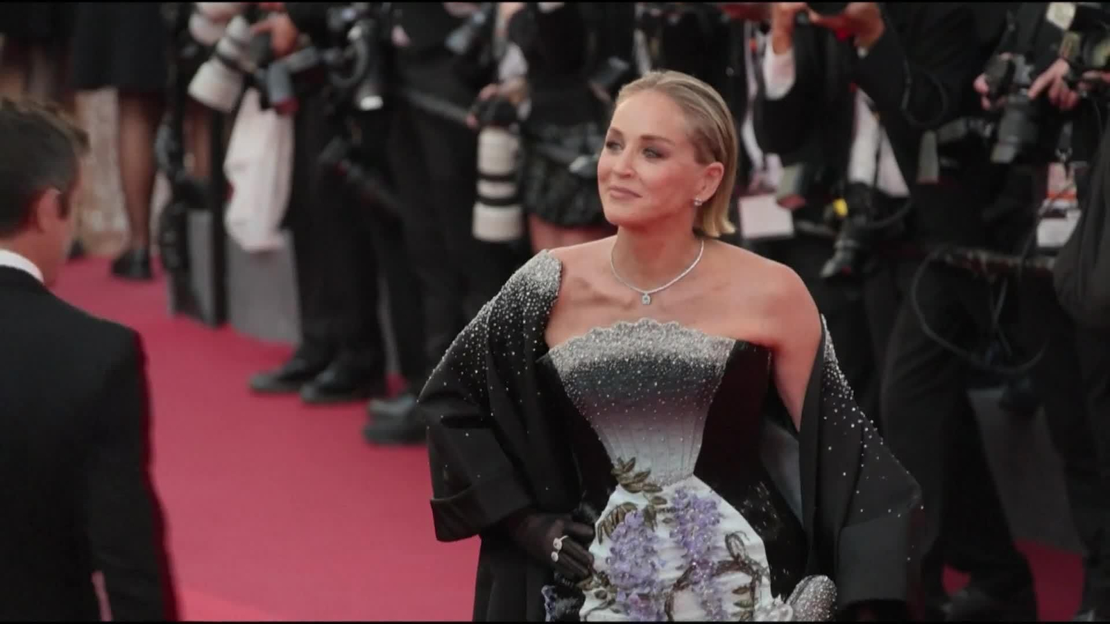 va alfombra roja cannes