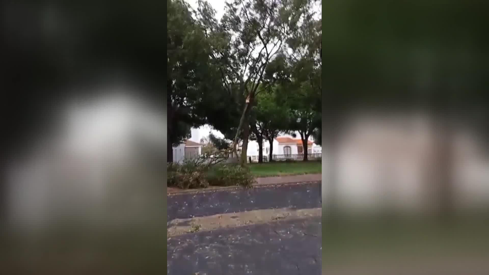 web huelva y lo demas