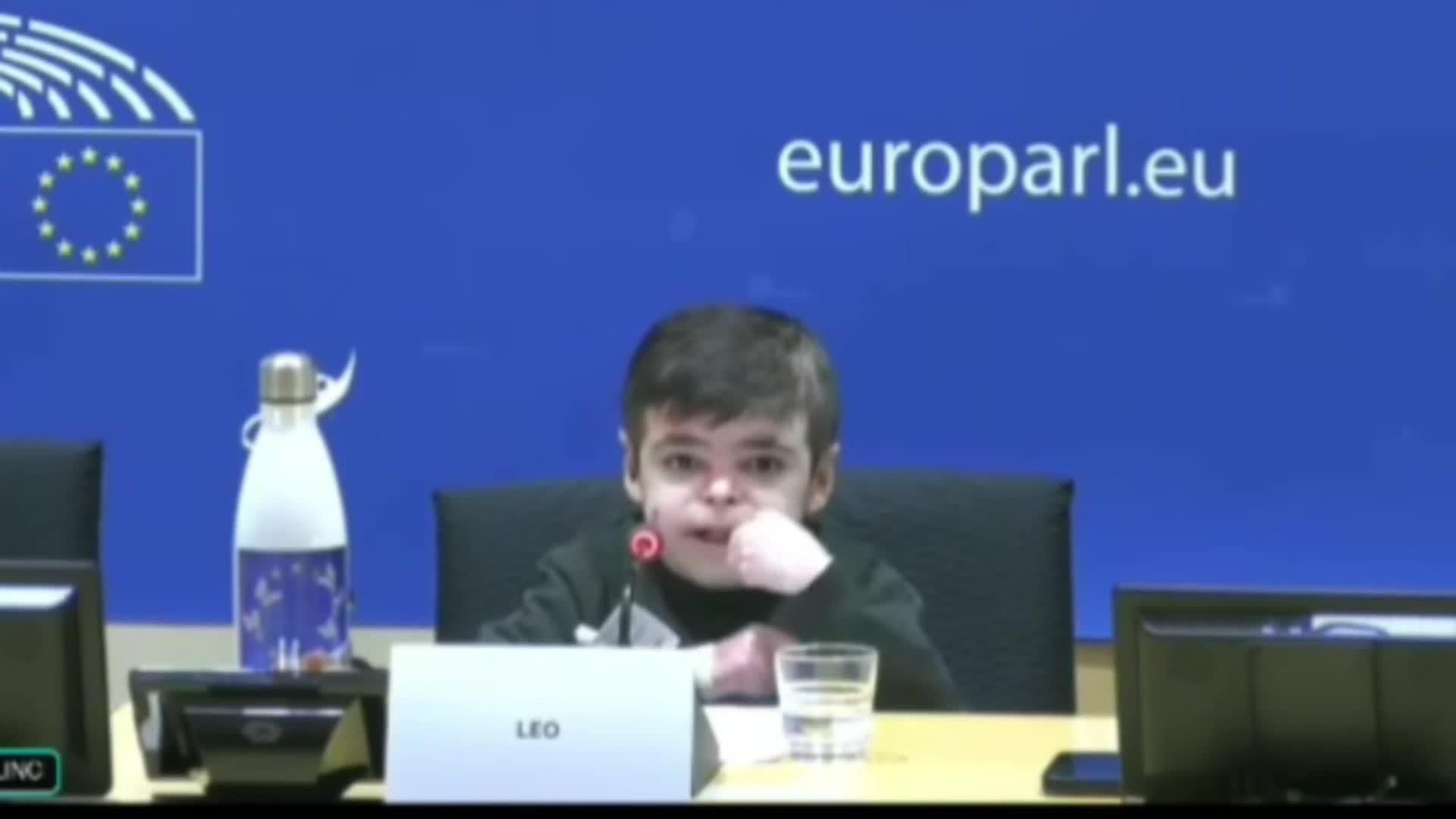 web la alegria de leo