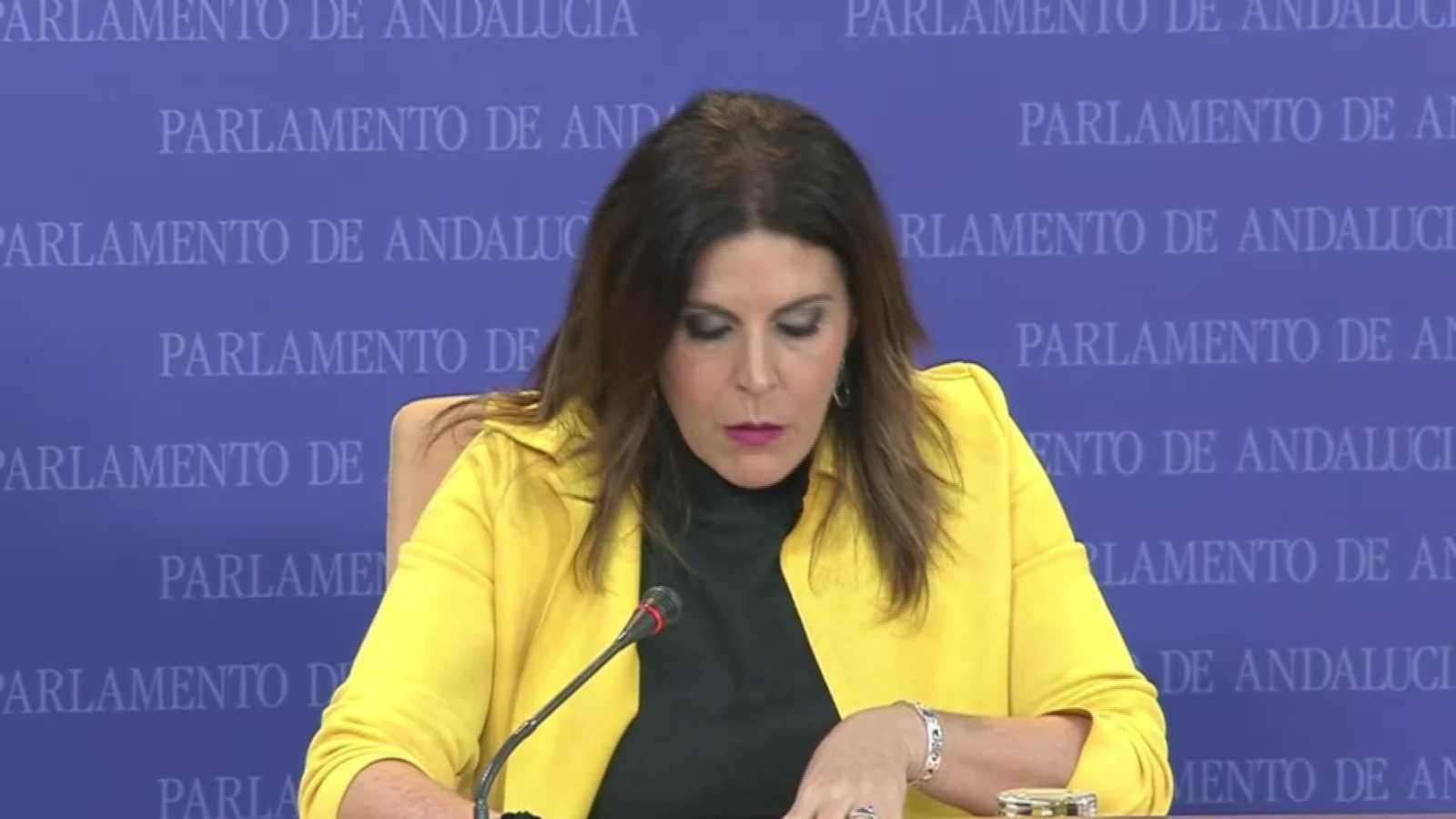 X058-SEVILLA FERRIZ PUTEROS Y ACOSADORES