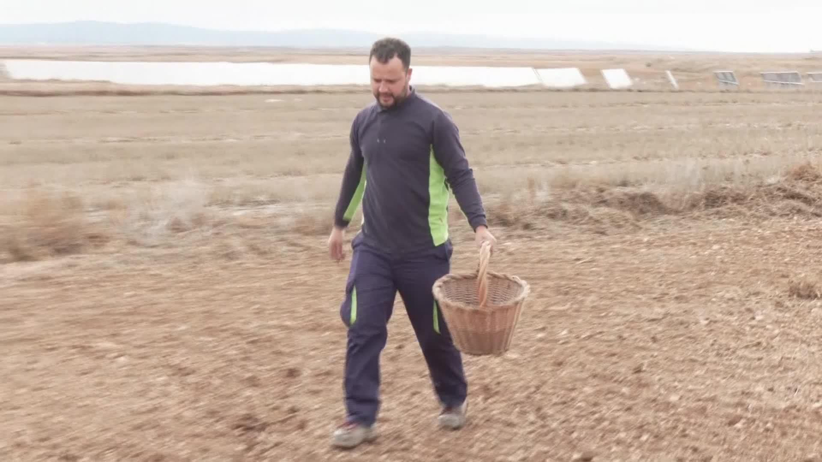 X054-EDI VARIOS AZAFRAN