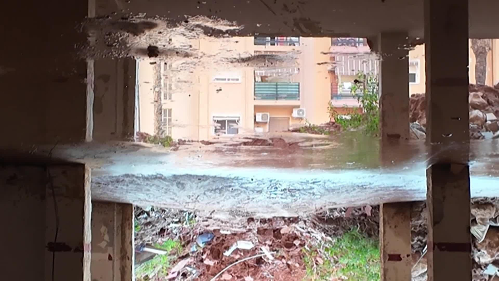 web trauma zona dana