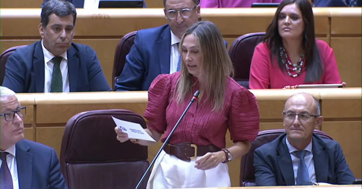M065-MADRID SENADO PREGUNTAS PP A OSCAR PUENTE