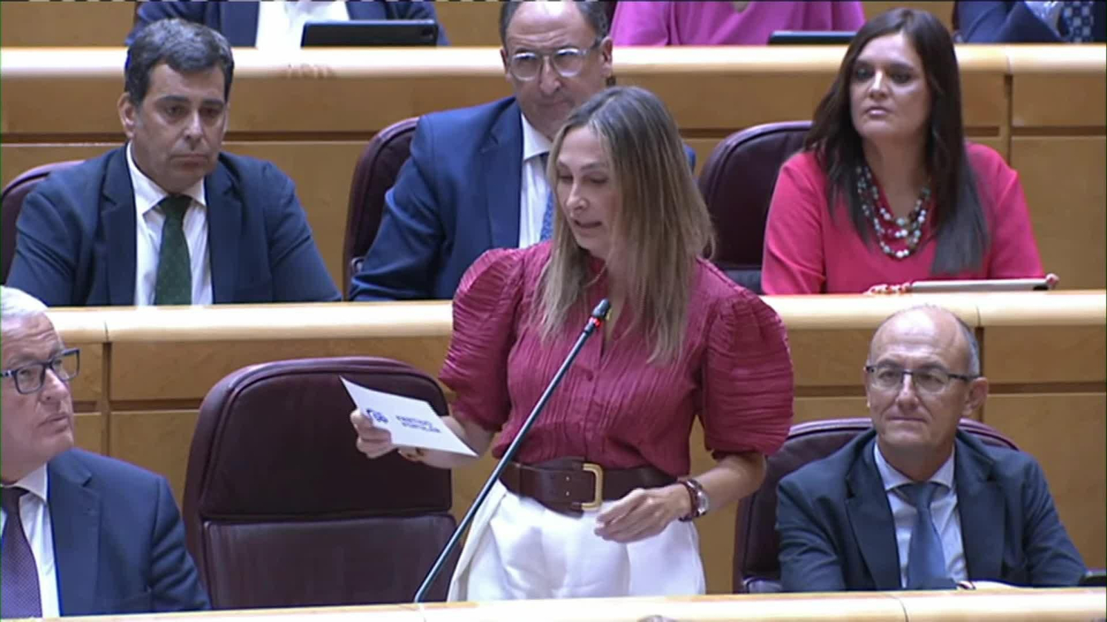 M065-MADRID SENADO PREGUNTAS PP A OSCAR PUENTE