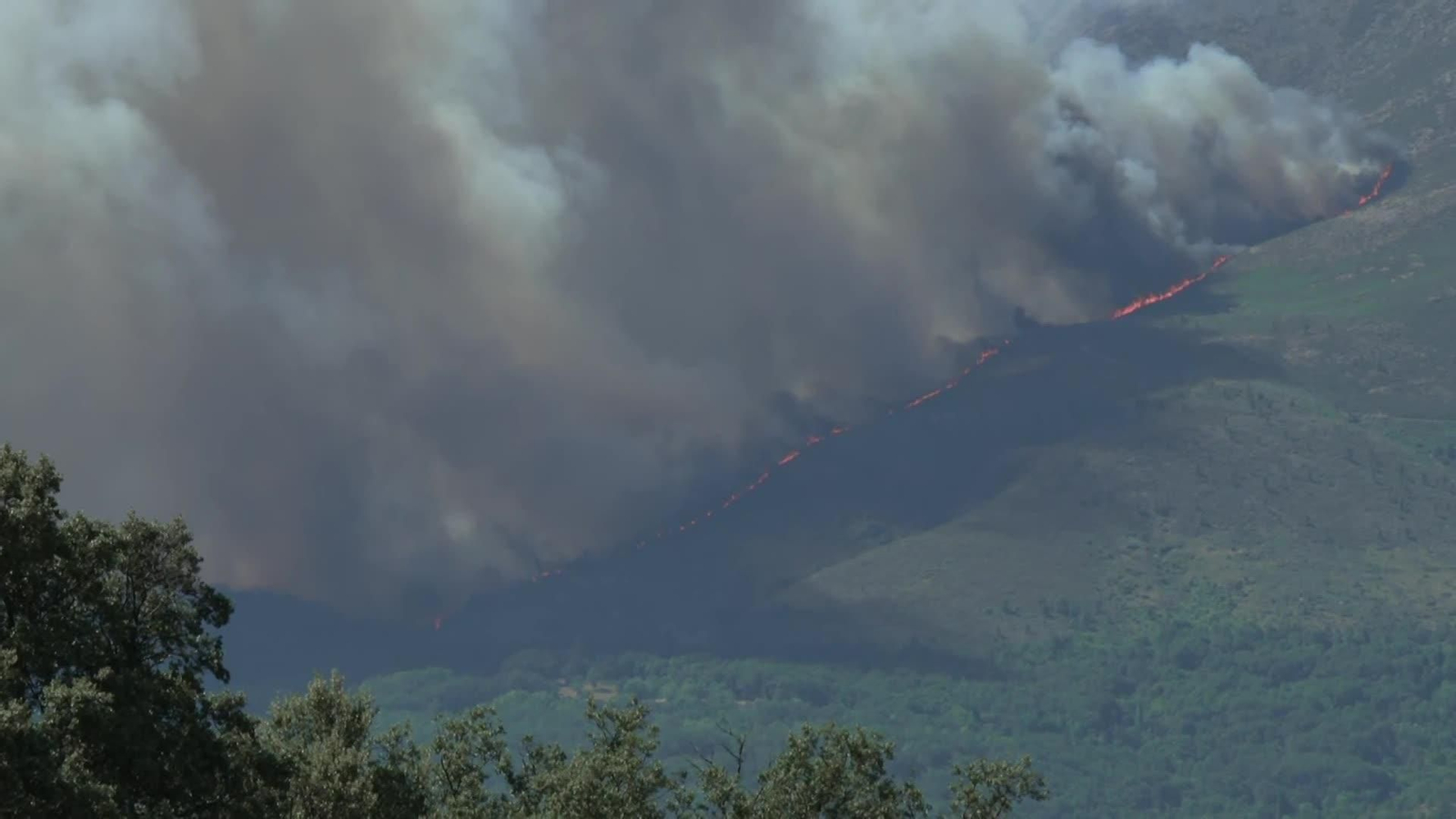web incendios politicos