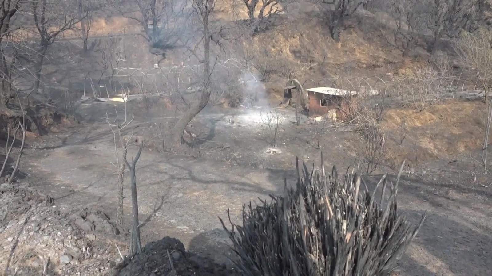 V005-ARGELIA 12 MUERTOS INCENDIOS