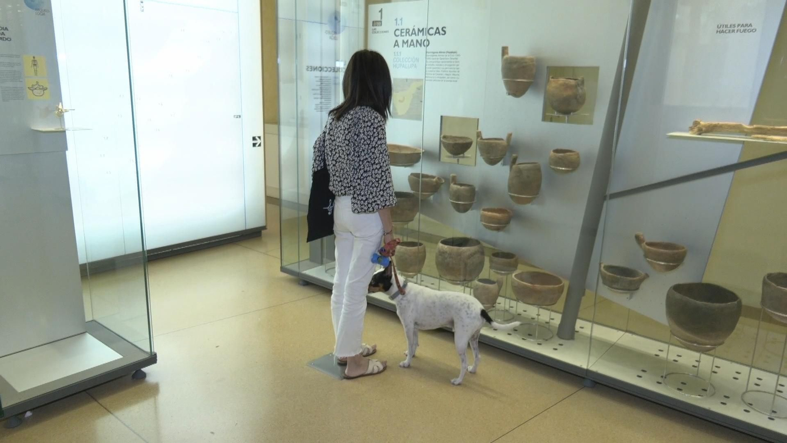 Museos de Tenerife aprueba las normas de convivencia para permitir el acceso de animales de compañía