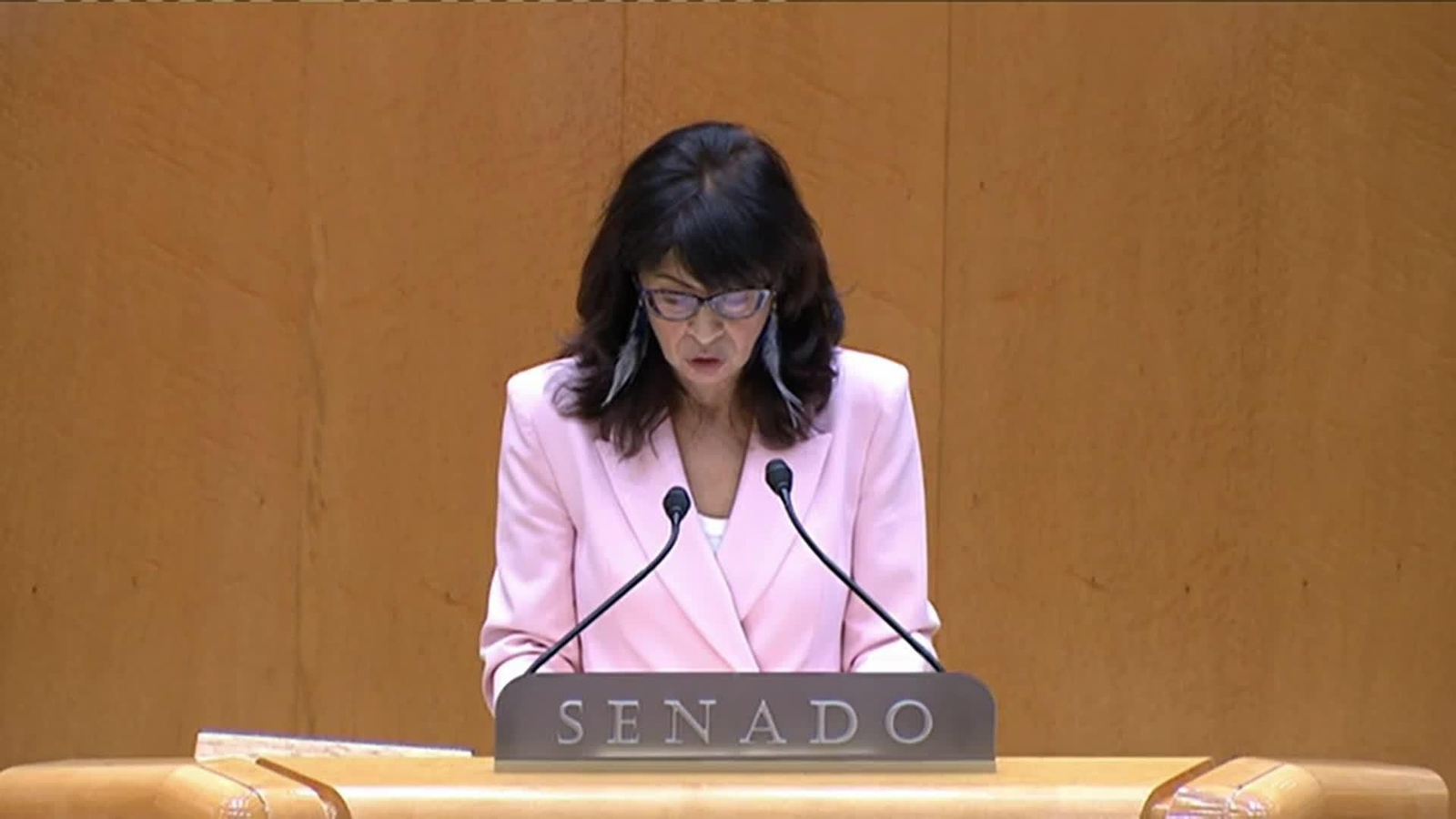 X011-MADRID ANA REDONDO PLENO SENADO