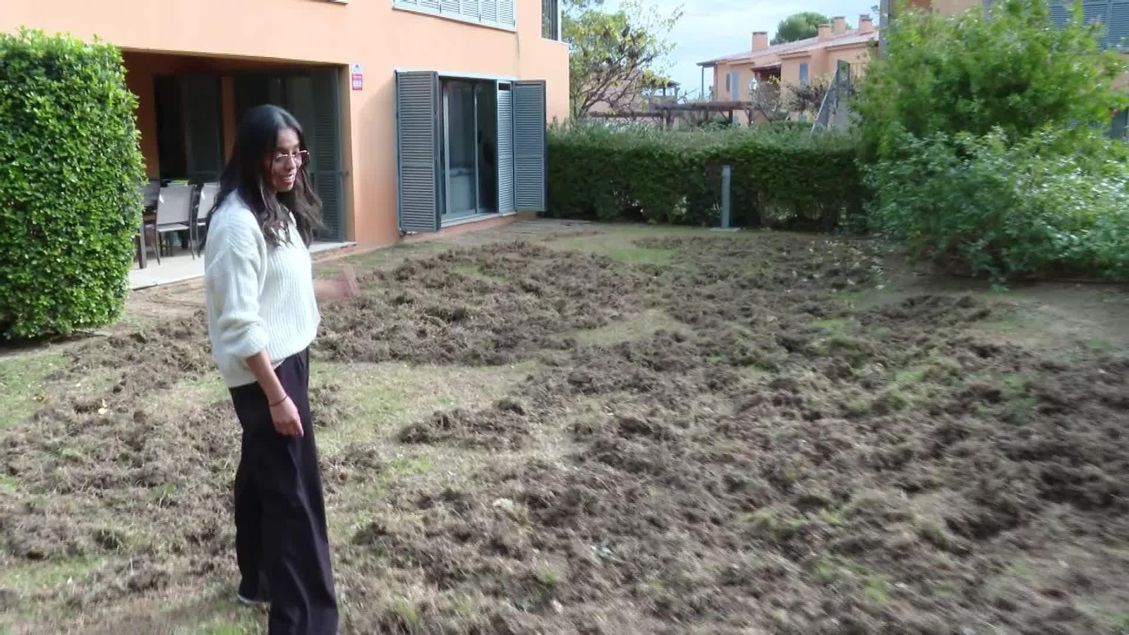 V001-EDI VARIOS FOBIA JABALIES FUERA ZONA CERO