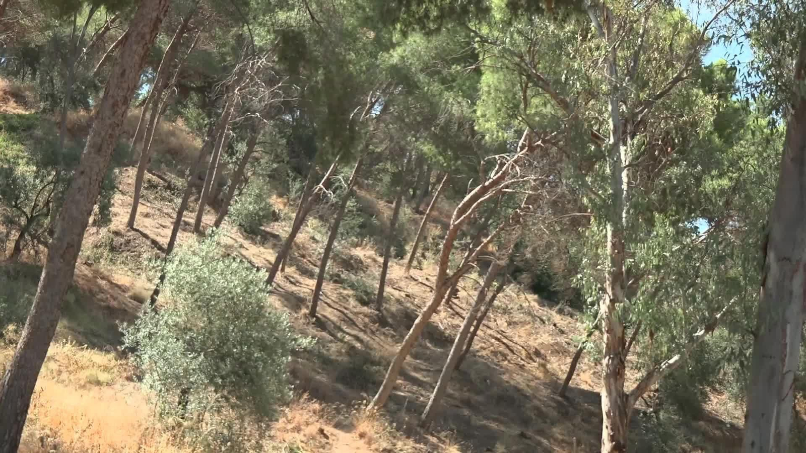 J048-MALAGA RIESGO ALTO INCENDIO MIJAS