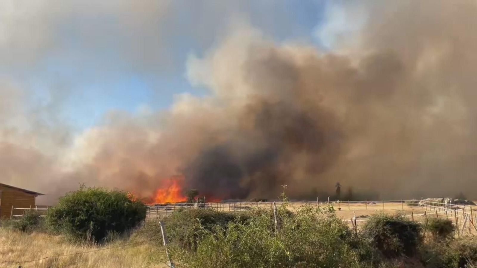 M037 SEGOVIA INCENDIO BRIEVA frame 2559