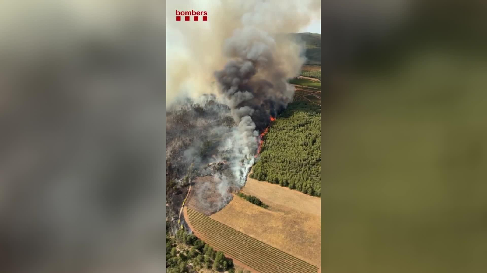X078-TARRAGONA AEREAS INCENDIO PLA DE MANLLEU