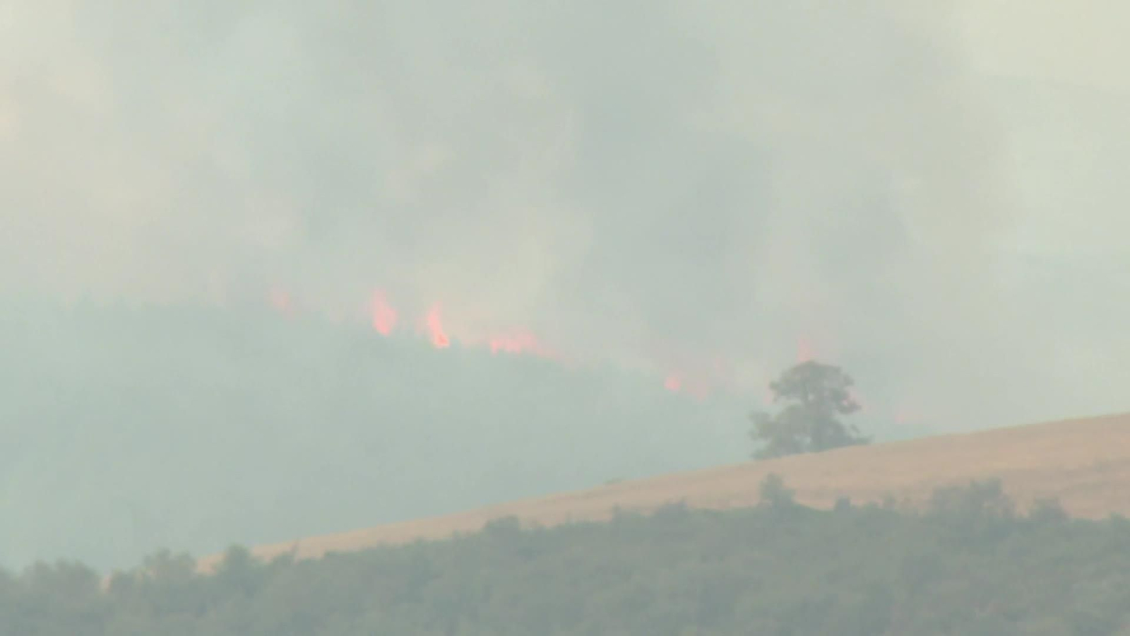 web incendios galicia