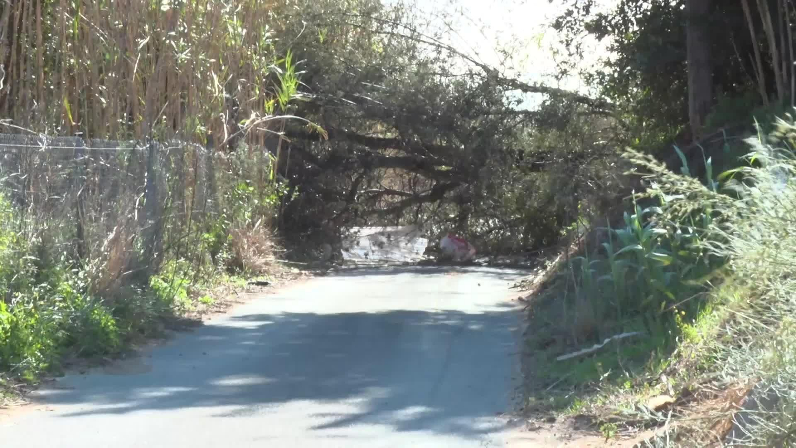 J051-BARCELONA VIENTOS EN ZONA MARESME