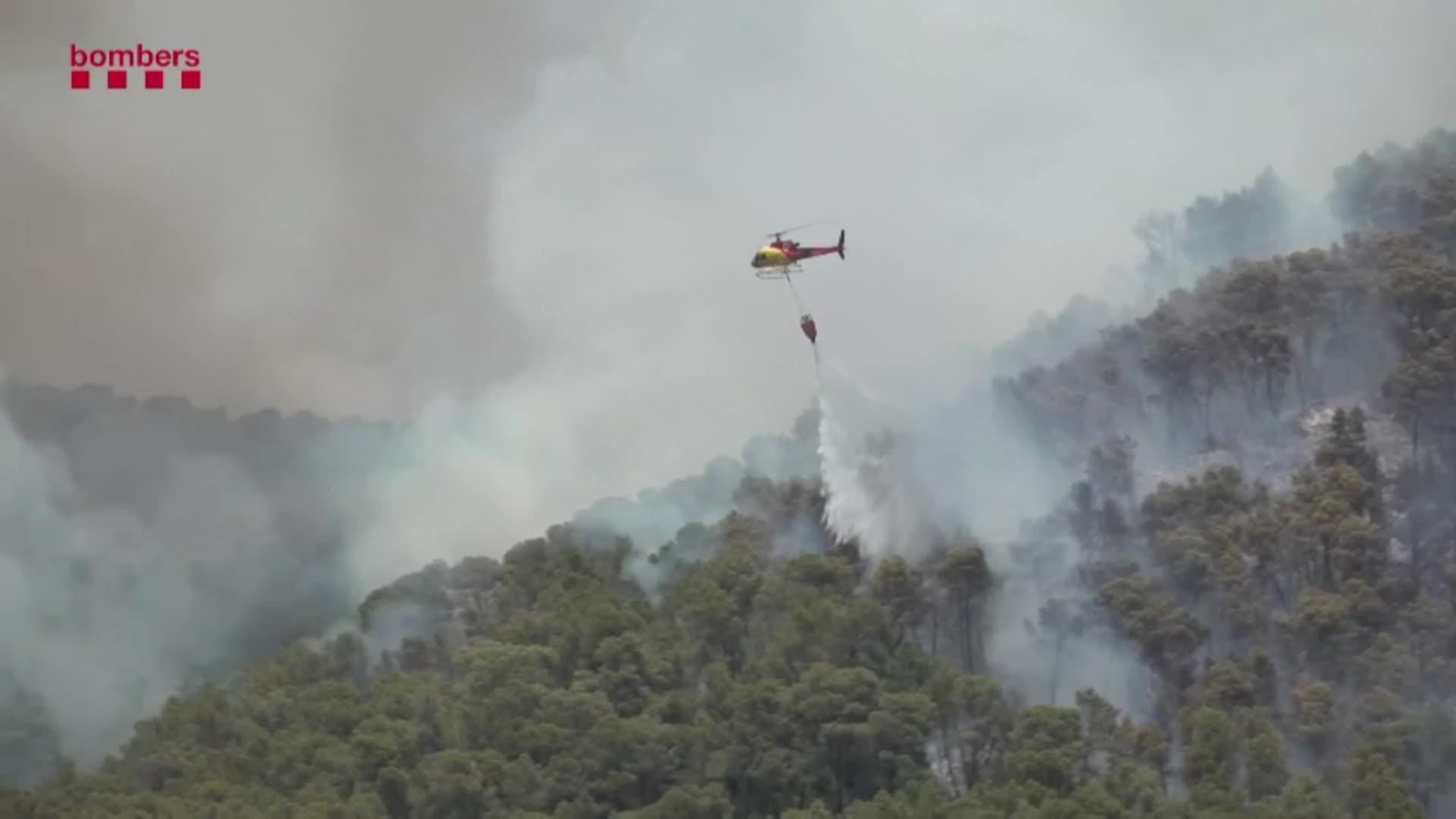 web como afrontar incendios