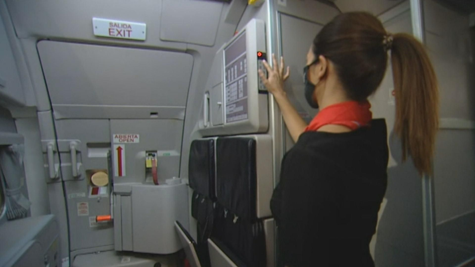 auxiliar de vuelo