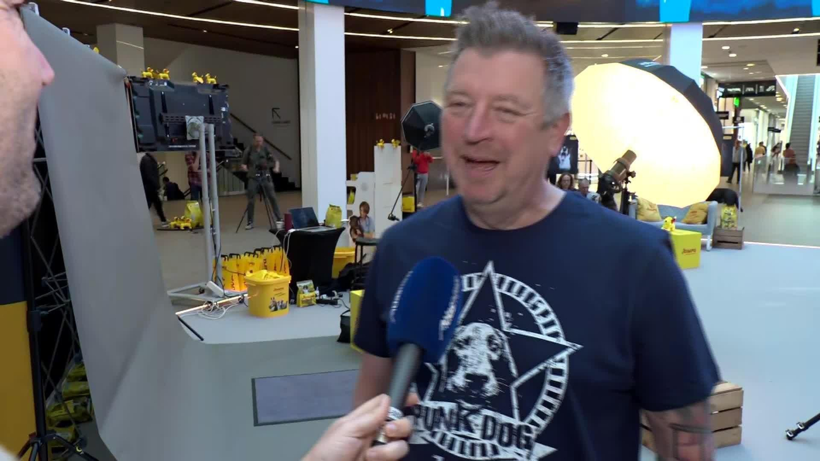 J031-BARCELONA FOTOGRAFO DE PERROS VIRAL