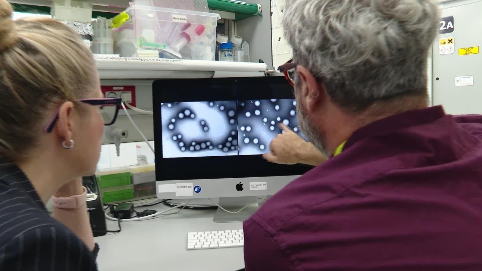 M059-EDI BARCELONA AVANCE ALZHEIMER