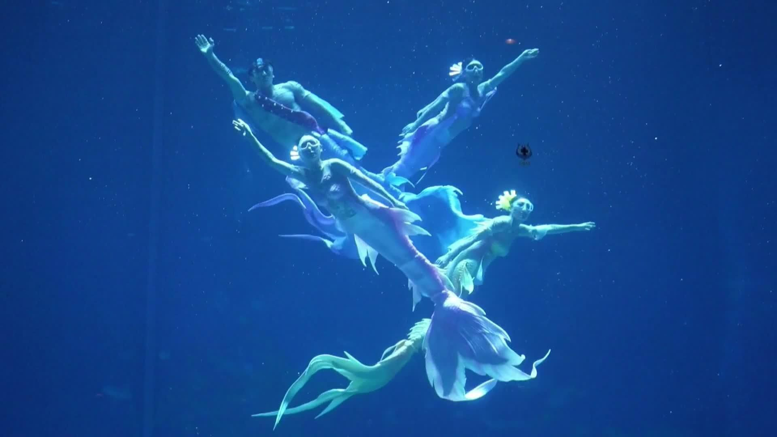 va china show sirenas