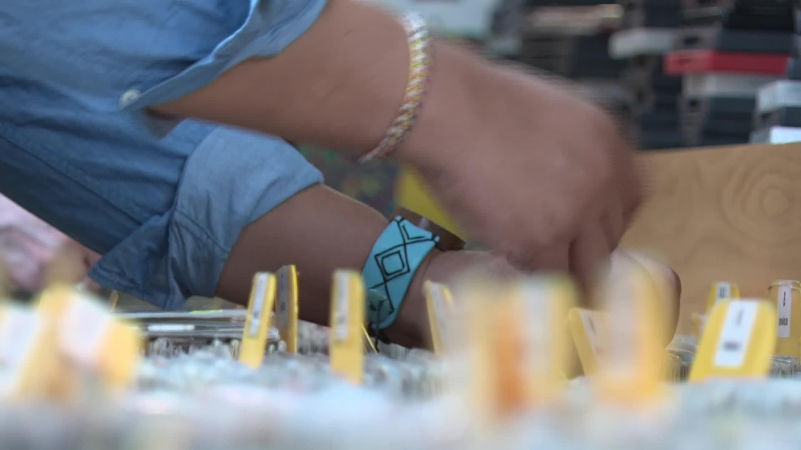 V076-VARIOS EVOLUCION DE LA MUSICA