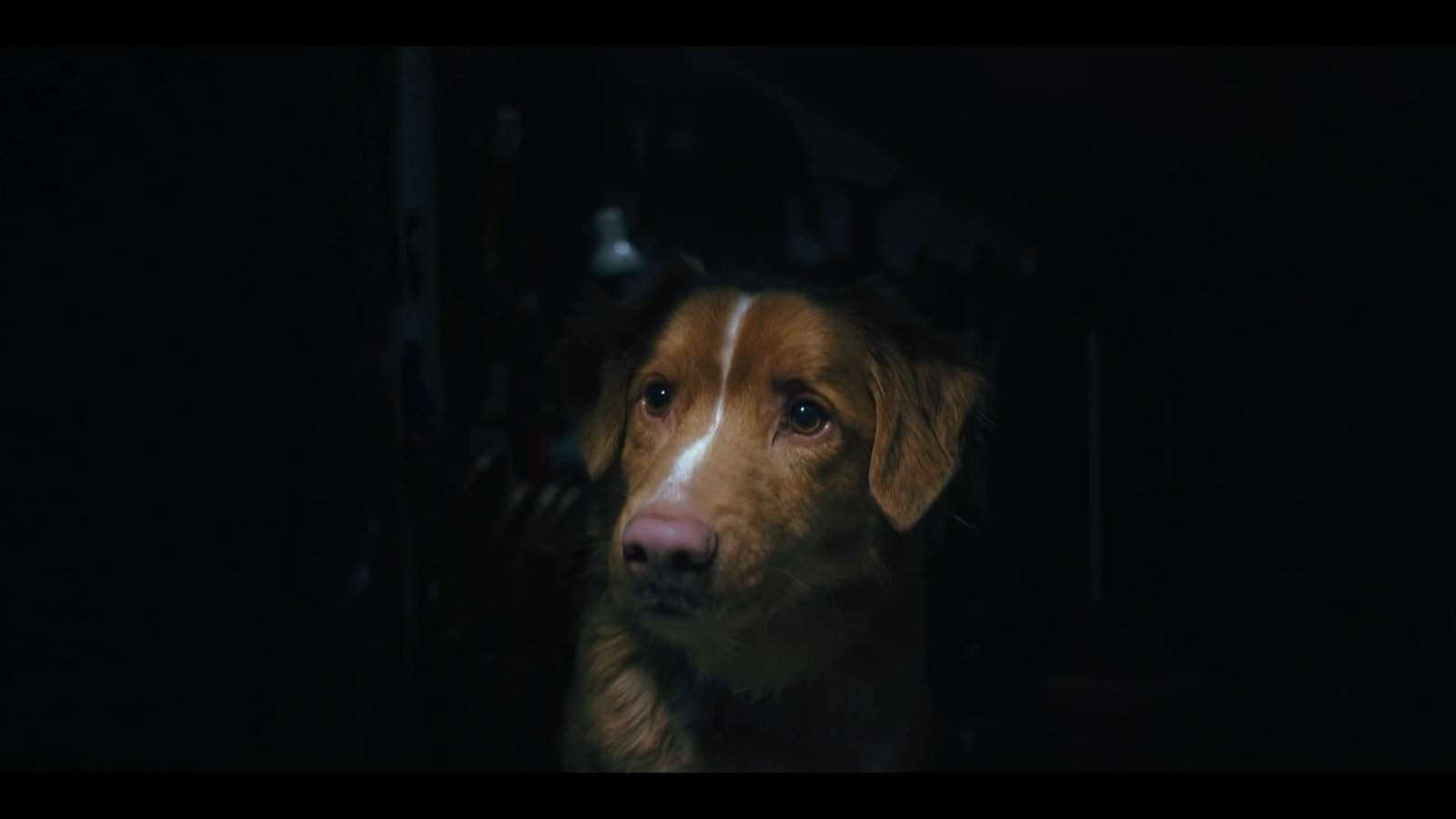 M003-EDI BARCELONA PELICULA GOOG BOY SITGES
