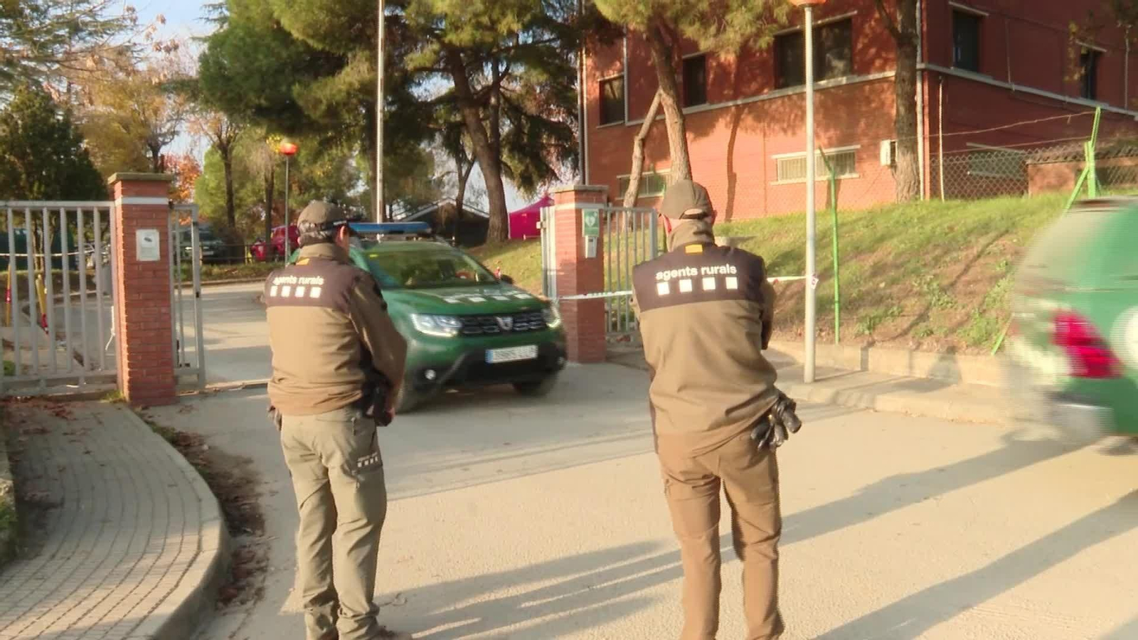 M053-EDI PESTE PORCINA MARTES