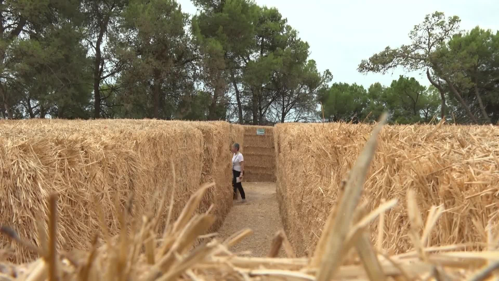 va laberinto de paja